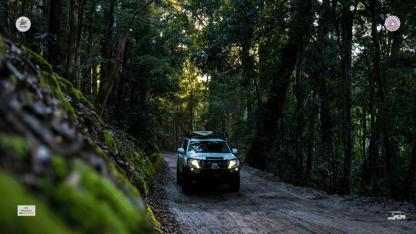 Excursie 1 zi Aventura cu Masini 4x4 in Sinaia - Cascada 7 Izvoare
