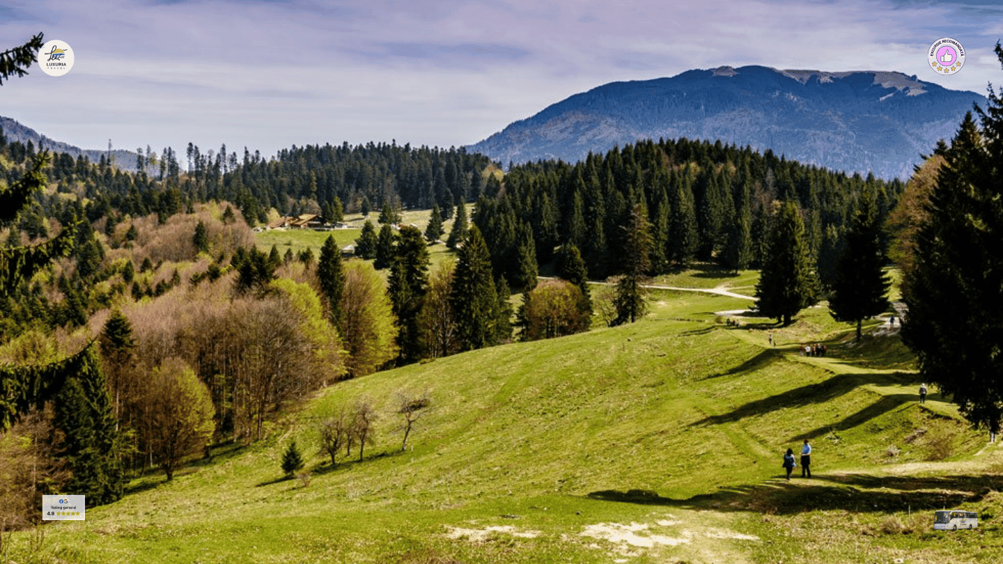 Excursie 1 zi Plimbare Montana la Cabana Trei Brazi si Cabana Poiana Secuilor